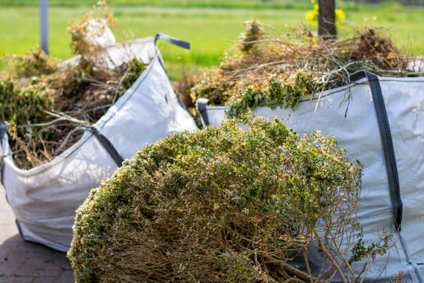 Professional Junk Removal Services in Yerington, NV